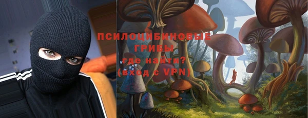 a pvp Аркадак