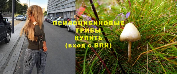 прущая мука Армянск