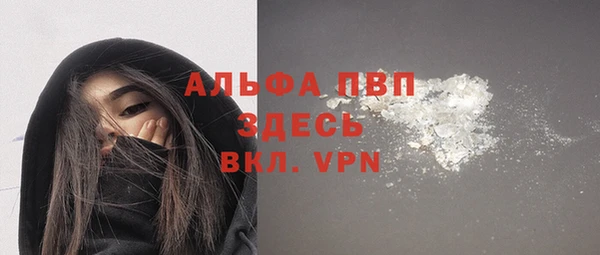 сатива Арсеньев