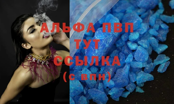 сатива Арсеньев
