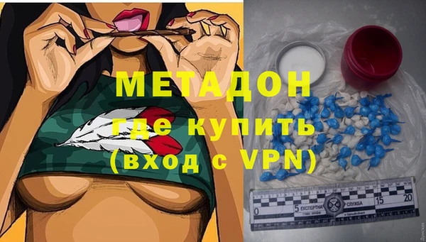 сатива Арсеньев