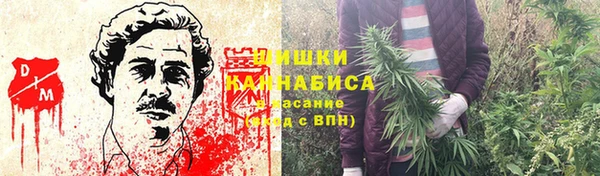 a pvp Аркадак
