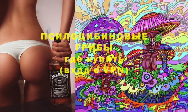 сатива Арсеньев
