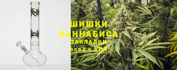 сатива Арсеньев